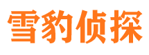 合浦寻人公司